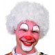 PERRUQUE CLOWN