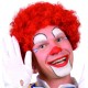 PERRUQUE CLOWN