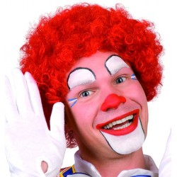 PERRUQUE CLOWN