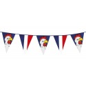 GUIRLANDE FANIONS FRANCE COQ 8 M