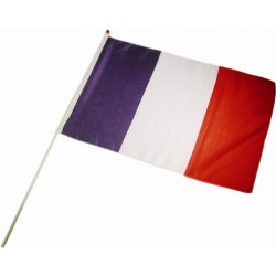 DRAPEAU FRANCE avec BATON