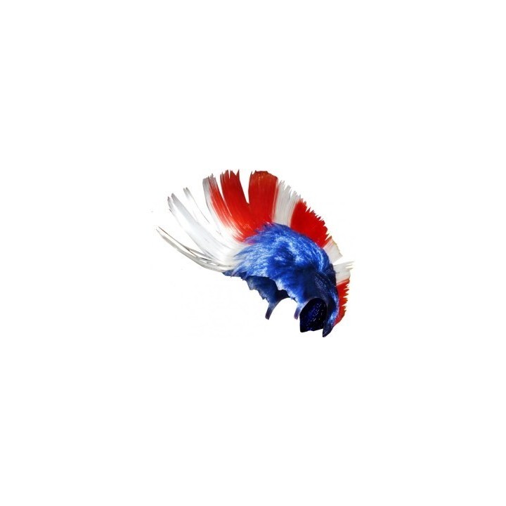 PERRUQUE PUNK TRICOLORE