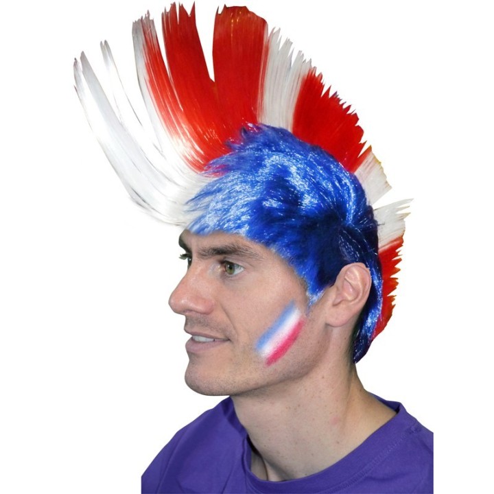 PERRUQUE PUNK TRICOLORE