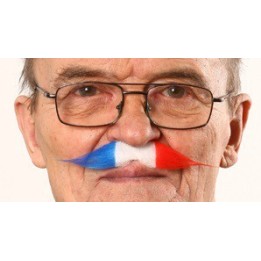 MOUSTACHE 19ème SIECLE FRANCE
