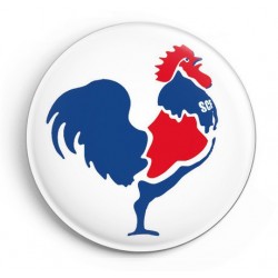 BADGE COQ TRICOLORE