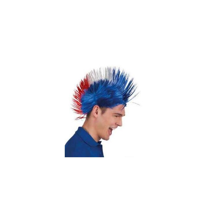 PERRUQUE PUNK TRICOLORE