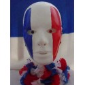 MASQUE VISAGE TRICOLORE