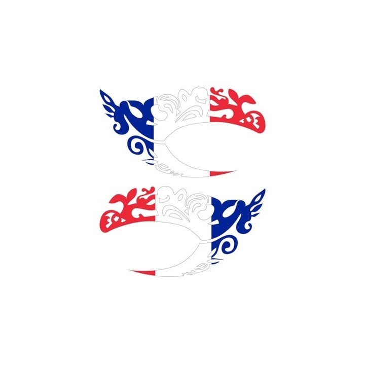 TATOUAGE DRAPEAU