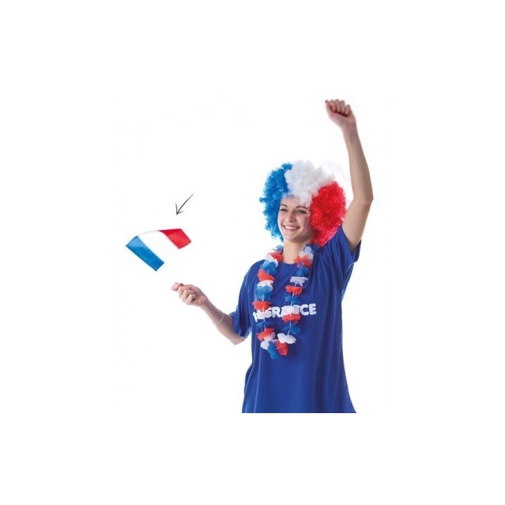 DRAPEAU 10 x 15 TISSU
