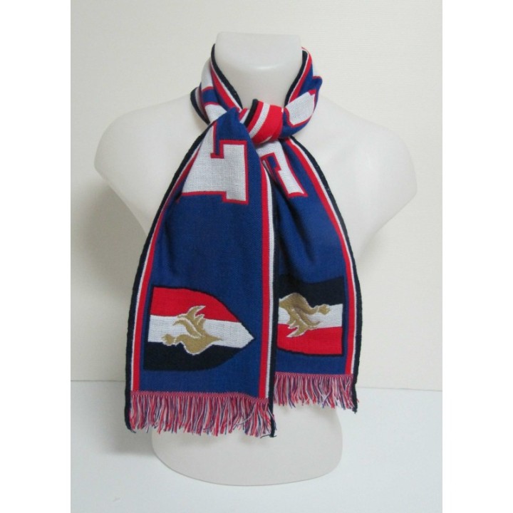 ECHARPE FRANCE BLASON