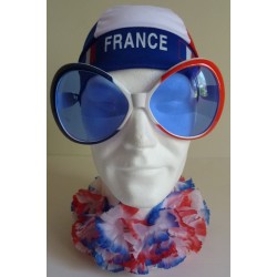 LUNETTES MOUCHE TRICOLORE