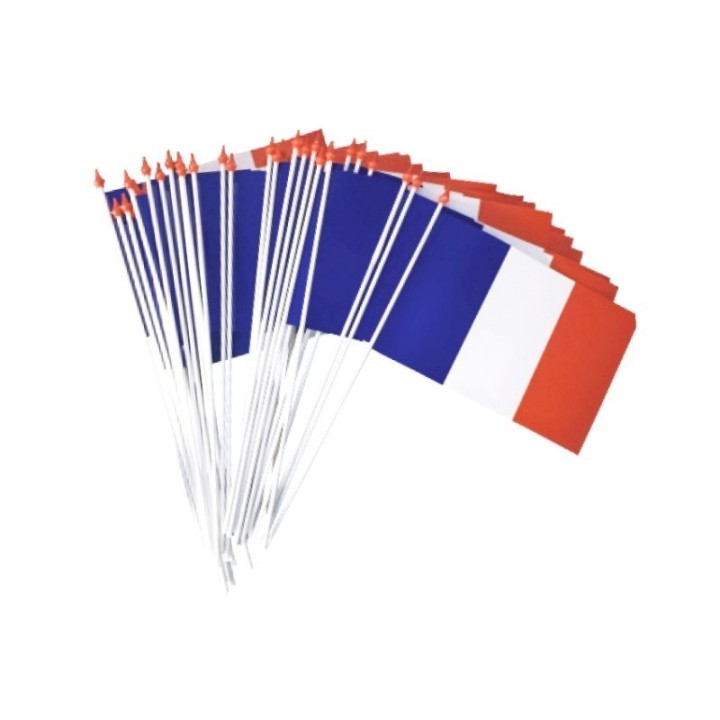 DRAPEAU 10 x 15 PLASTIQUE