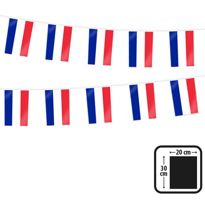 guirlande rectangle fanion France