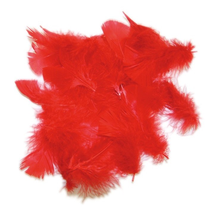 SACHET de 15 PLUMES