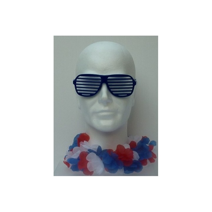 LUNETTES DISCO