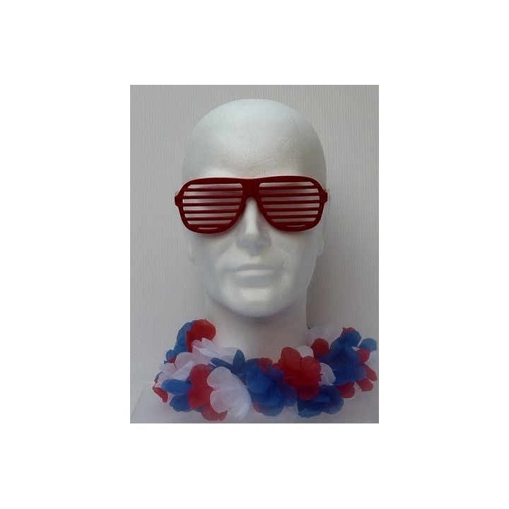 LUNETTES DISCO