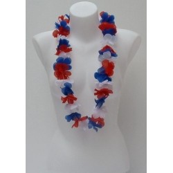 COLLIER HAWAIEN